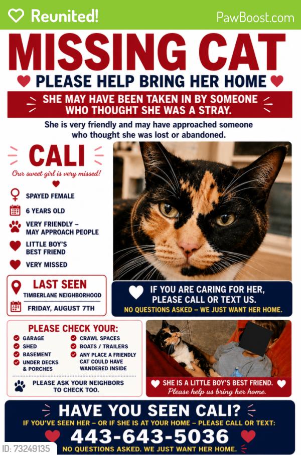 Reunited Female Cat last seen Timberidge and Henderson, Fairfax Station, VA 22039