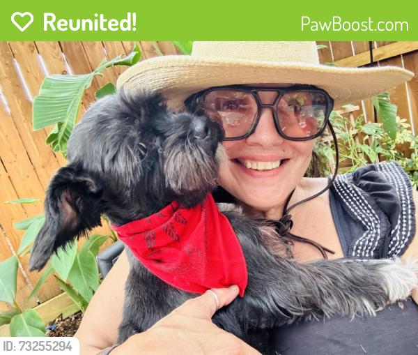Reunited Female Dog last seen Conroe high school, Conroe, TX 77304