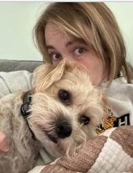 Lost Male Dog last seen Crosstown parkway. Diamond street, Port St. Lucie, FL 34953