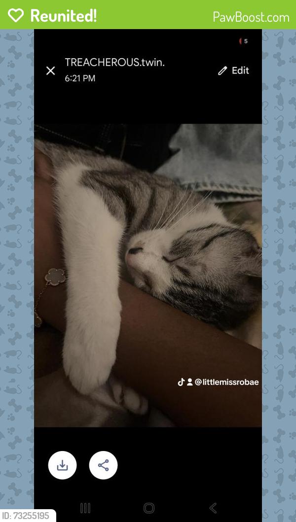 Reunited Female Cat last seen Near Rowan Dr., Clayton, NC 27520