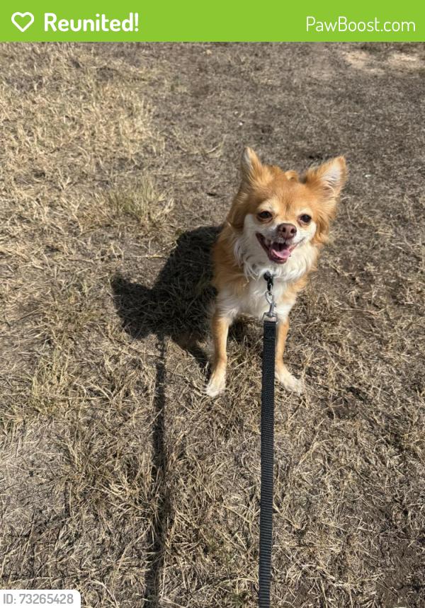 Reunited Unknown Dog last seen Reservoir by Louetta, Spring, TX 77388