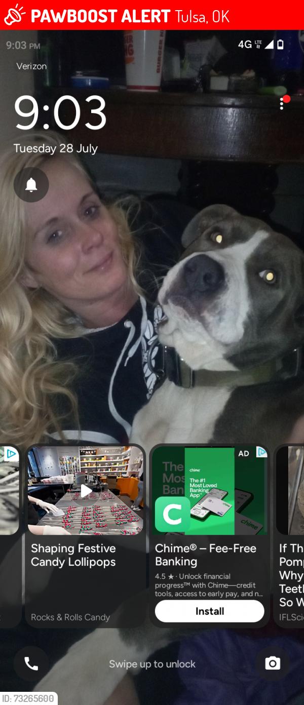 Lost Male Dog last seen Admiral and yale, Tulsa, OK 74115