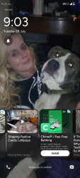 Lost Male Dog last seen Admiral and yale, Tulsa, OK 74115