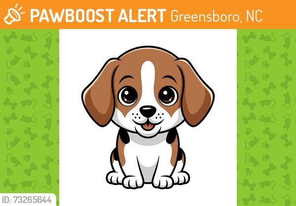 Found/Stray Male Dog last seen UNCG gym parking lot, Greensboro, NC 27403