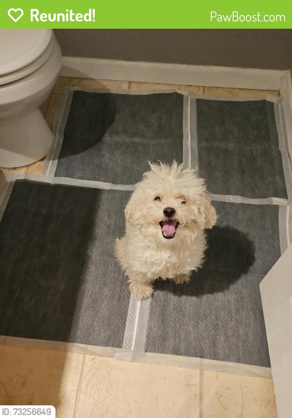 Reunited Male Dog last seen Iliff and Buckley, Aurora, CO 80013