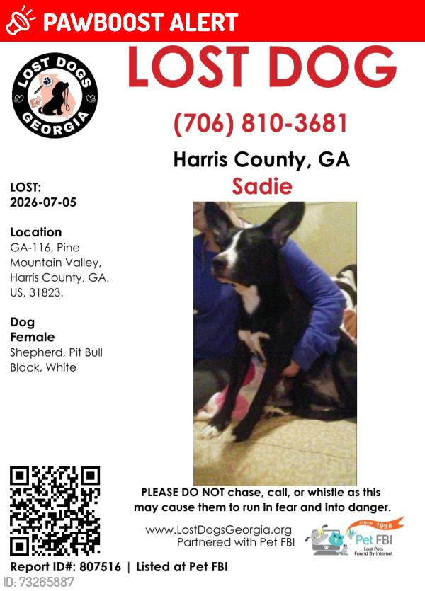 Lost Female Dog last seen Harris county jail, Pine Mountain Valley, GA 31823