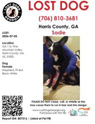 Lost Female Dog last seen Harris county jail, Pine Mountain Valley, GA 31823