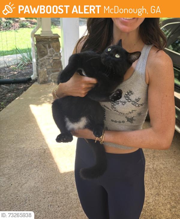 Found/Stray Unknown Cat last seen highway 81 and keys ferry rd, McDonough, GA 30252