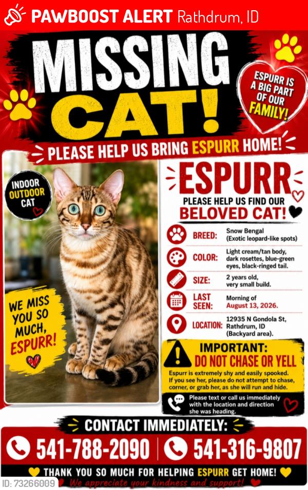 Lost Female Cat last seen Majestic park, Rathdrum, ID 83858