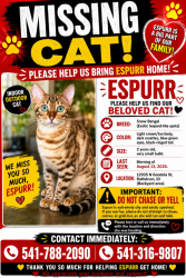 Lost Female Cat last seen Majestic park, Rathdrum, ID 83858
