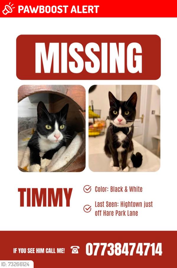 Lost Male Cat last seen Hightown just off Hare park lane, Hightown, England WF15 8DX
