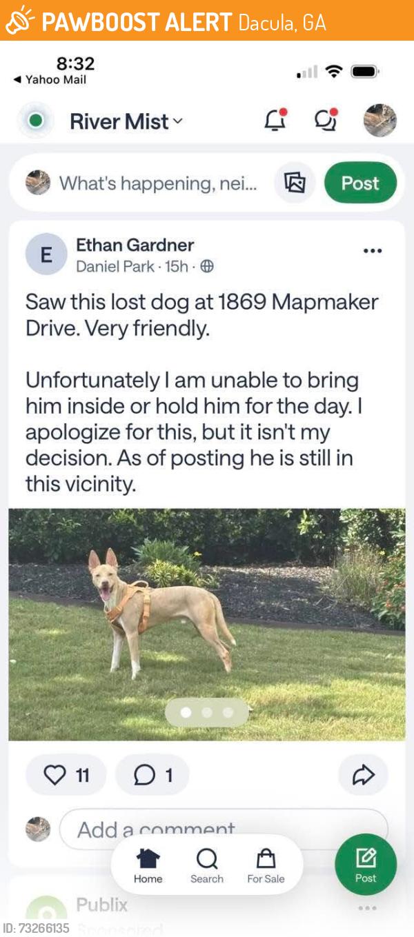 Found/Stray Unknown Dog last seen Daniel Park Run, Dacula, GA 30019