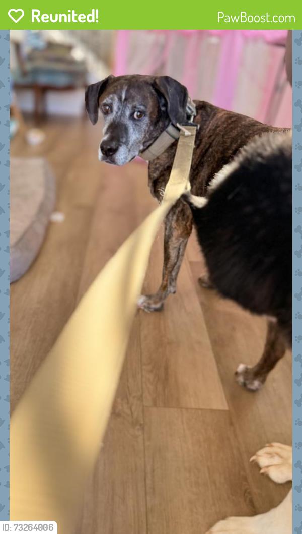 Reunited Male Dog last seen Chapel Hill Parkway / Wallace Gray Road / Ishman Ballard Road, Newnan, GA 30263