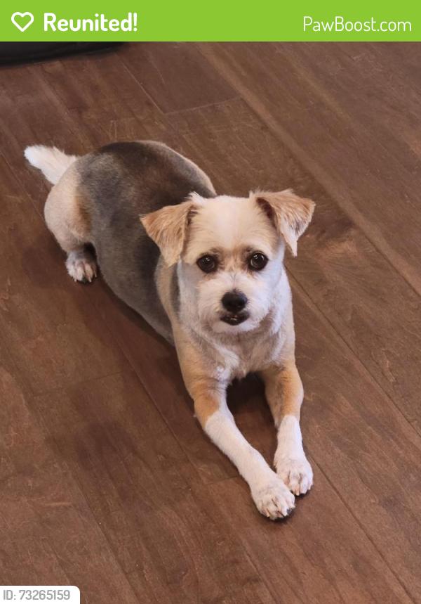 Reunited Male Dog last seen Near Quebec, Thornton, CO 80602