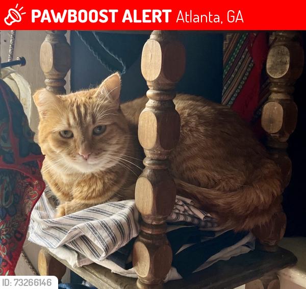 Lost Female Cat last seen near browns mill golf course, Atlanta, GA 30315