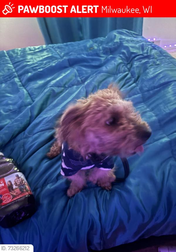 Lost Female Dog last seen near mcdonald’s, Milwaukee, WI 53218