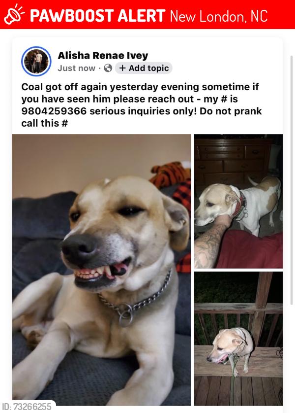 Lost Male Dog last seen Near, New London, NC 28127