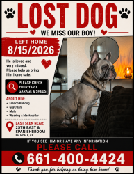 Lost Male Dog last seen 25th east and spanishbroom, Palmdale, CA 93550