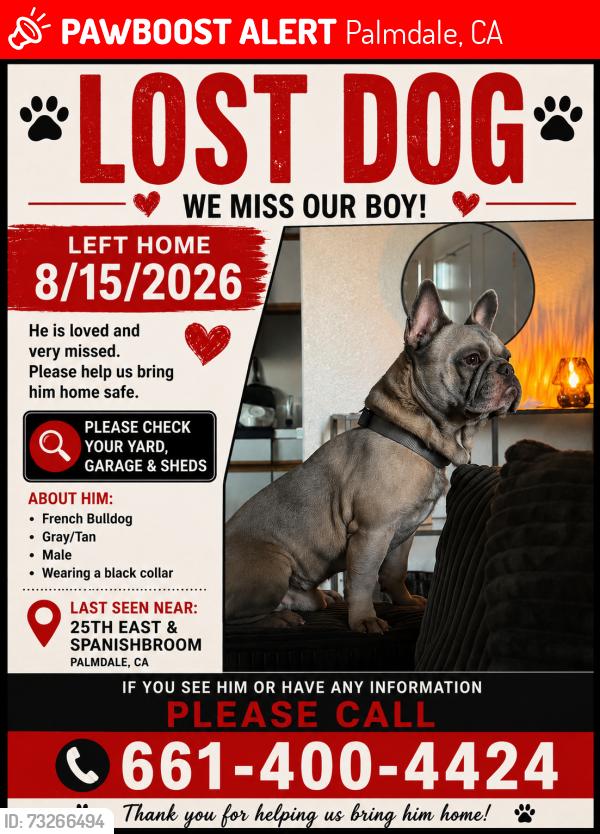 Lost Male Dog last seen 25th east and spanishbroom, Palmdale, CA 93550