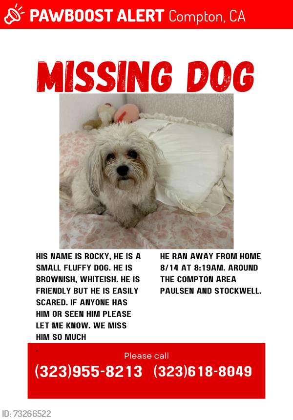 Lost Male Dog last seen Paulsen & Stockwell, Compton, CA 90220