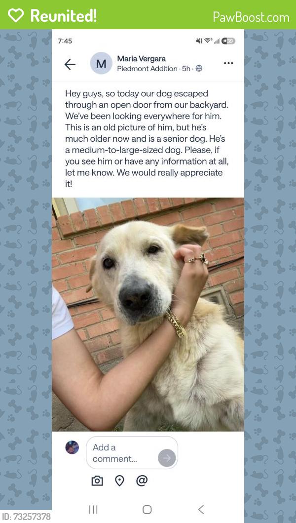 Reunited Male Dog last seen Seco and Jim Miller Gillette, Dallas, TX 75217