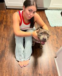Reunited Female Dog last seen Elvia dr and kingstree Dr w, Jacksonville, FL 32211