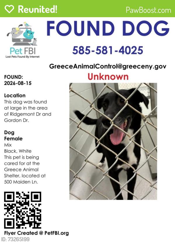 Reunited Female Dog last seen Ridgemont Dr/Gordon Dr, Rochester, NY 14626