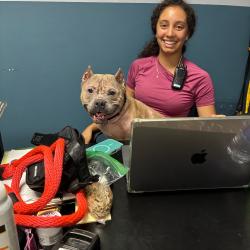 Shelter Stray Female Dog last seen , Animal Care & Control Team of Philly, 111 W Hunting Park Ave, Philadelphia, PA 19140, USA