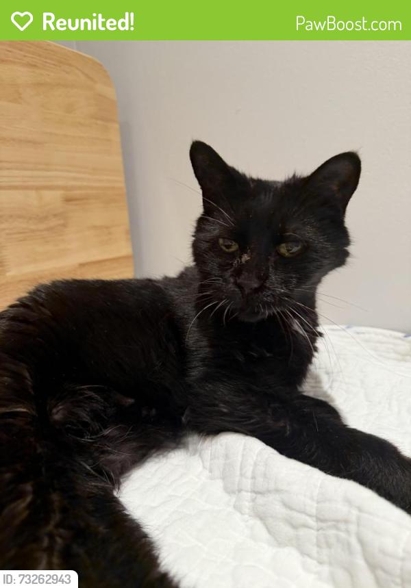 Reunited Male Cat last seen West End Long Beach, Louisiana St, Long Beach, NY 11561