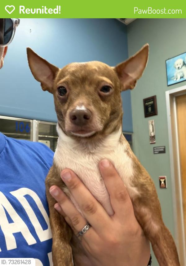 Reunited Male Dog last seen Parker and independence, Plano, TX 75075