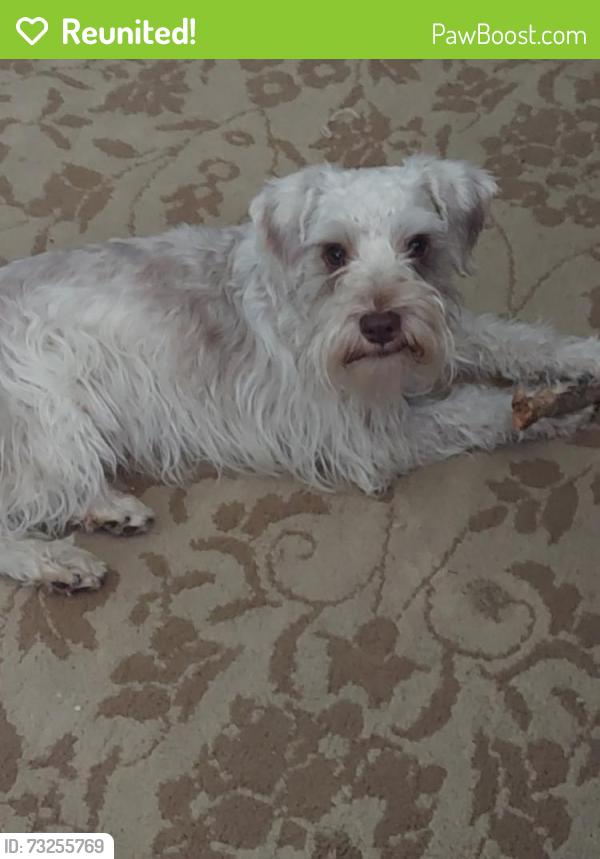 Reunited Male Dog last seen Near E Dakota Ave, Aurora, CO 80012, USA, Aurora, CO 80012