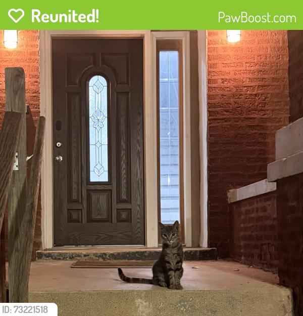 Reunited Male Cat last seen N Central Park Ave between W Thomas St & W Augusta Blvd, Chicago, IL 60651