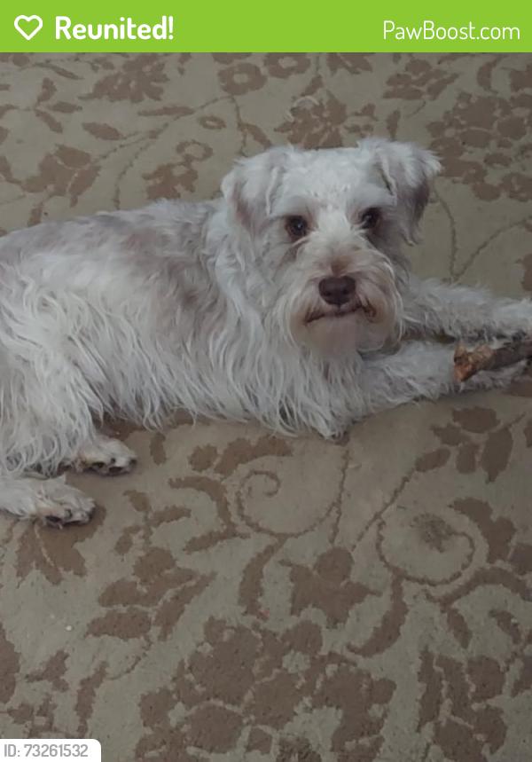 Reunited Male Dog last seen Alameda and moline, Aurora, CO 80012