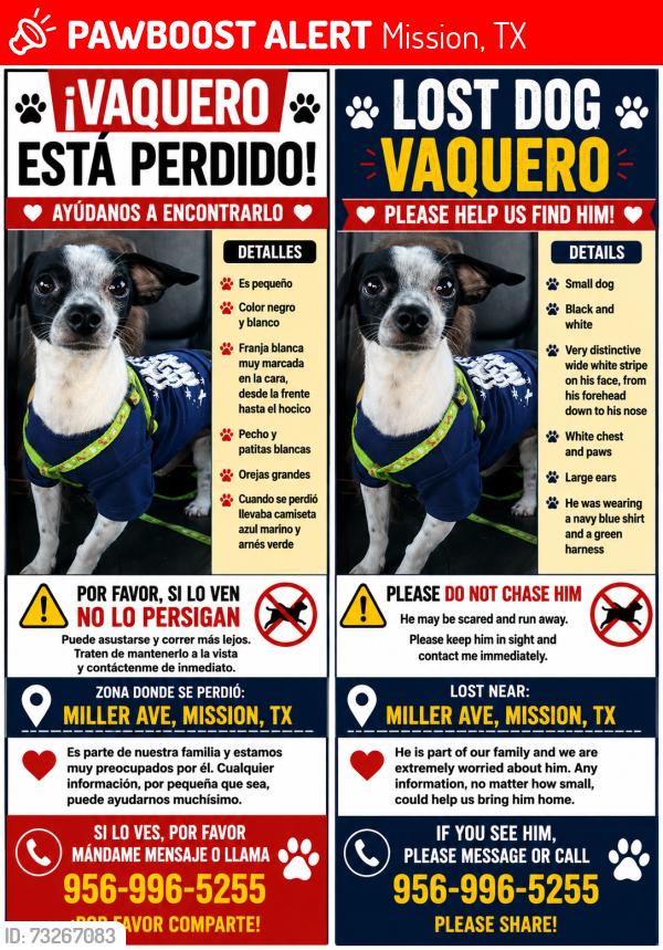Lost Male Dog last seen Cuellar High School, Mission, TX 78572
