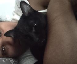 Lost Male Cat last seen Yarmouth and Harwick Lane, North Richland Hills, TX 76182