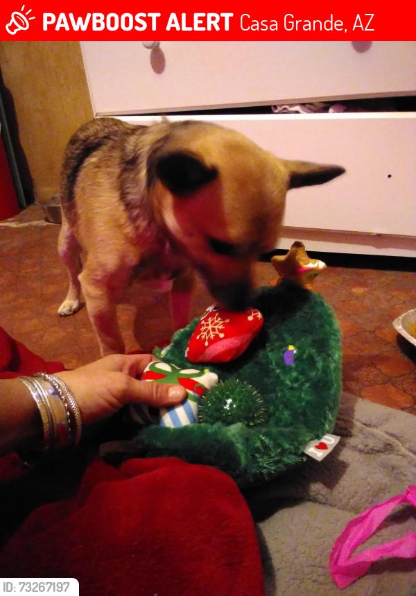 Lost Male Dog last seen Between Trekell & Brown/Florence Blvd & Jimmie Kerr, Casa Grande, AZ 85122