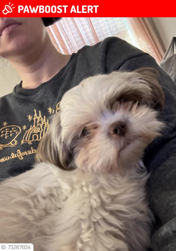 Lost Female Dog last seen Saddlebrook Drive near Anderson Mill, Spartanburg County, SC 29369