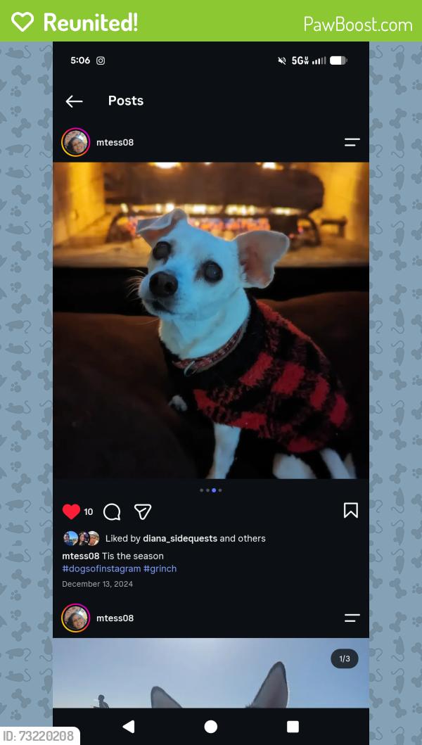 Reunited Female Dog last seen Silver valley Dr, Houston, TX 77084