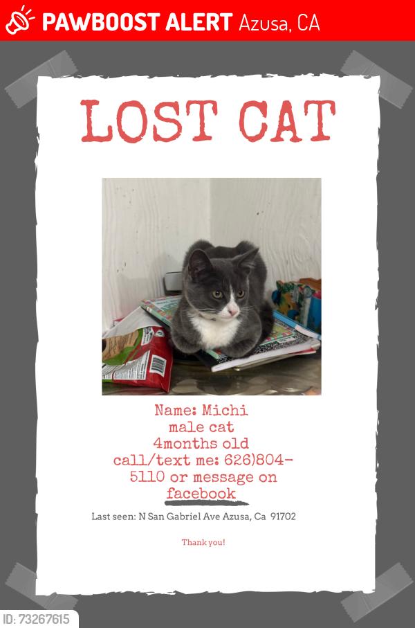 Lost Male Cat last seen N san Gabriel Ave Azusa, ca, Azusa, CA 91702