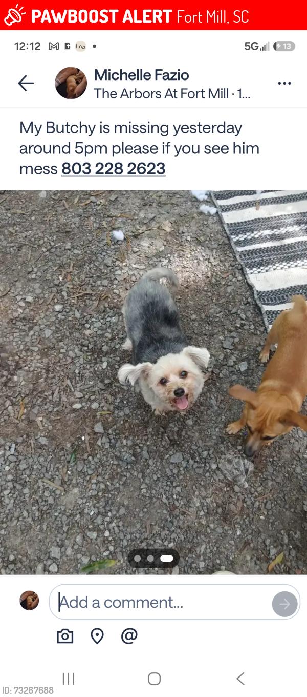 Lost Male Dog last seen Near and zoar rd, Fort Mill, SC 29708