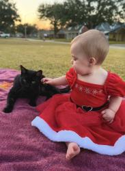Lost Male Cat last seen River forest, LaPlace, LA 70068