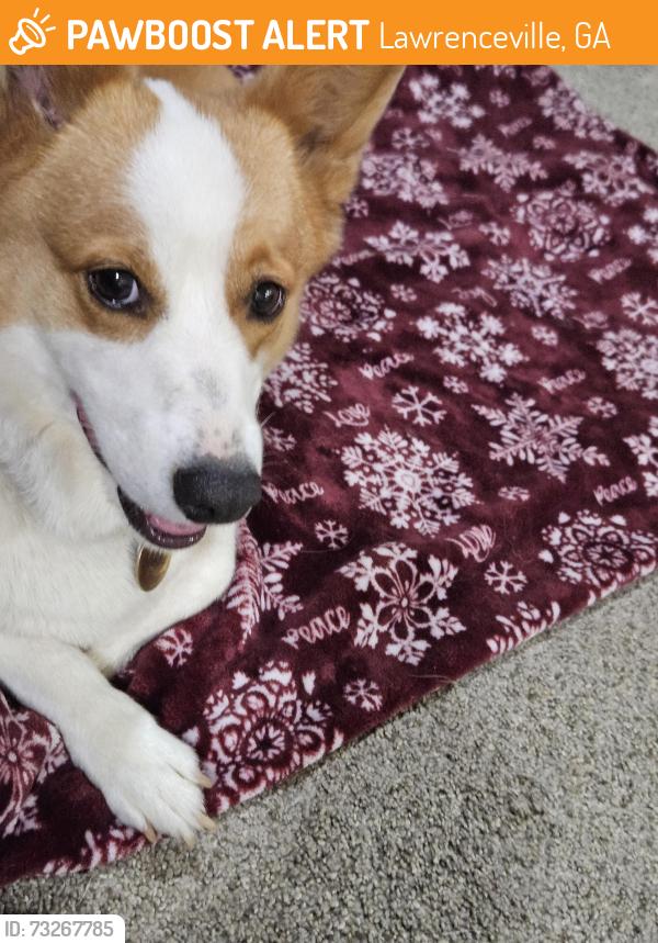 Found/Stray Male Dog last seen In the neighborhood, Lawrenceville, GA 30044