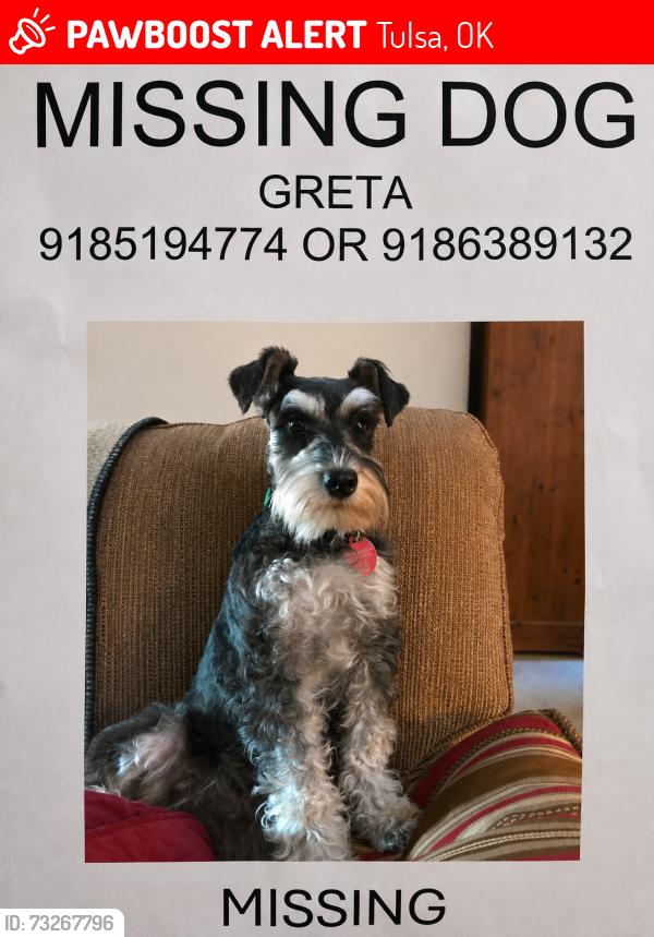 Lost Female Dog last seen S 93rd St and S 88th E Ave, Tulsa, OK 74133