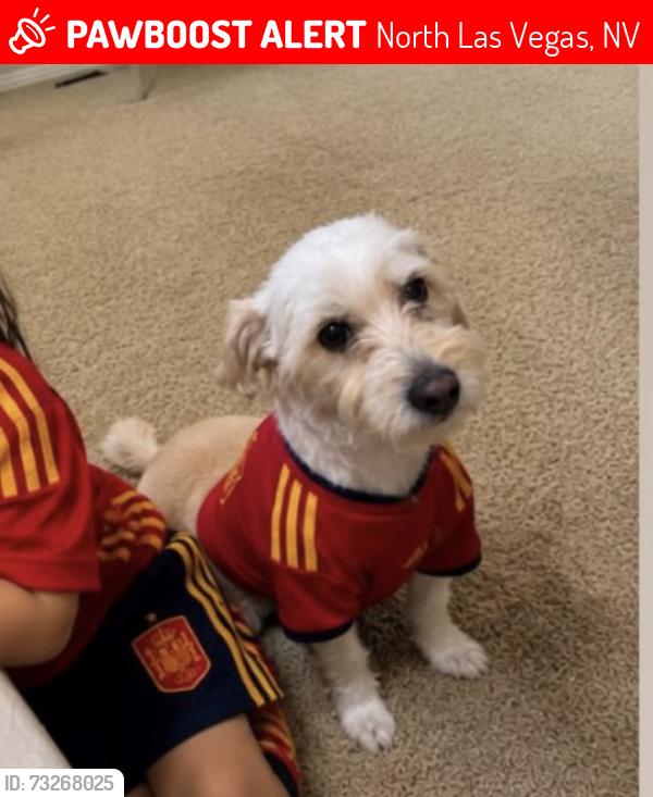 Lost Male Dog last seen Revere St & W Tropical, North Las Vegas, NV 89032