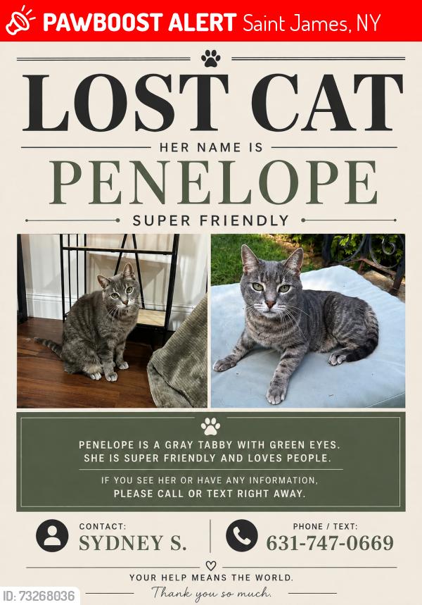 Lost Female Cat last seen Mills Pond Road, Saint James, NY 11780