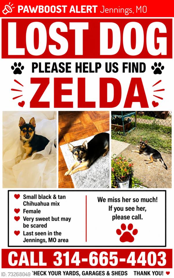 Lost Female Dog last seen Jennings mo, Jennings, MO 63136