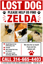 Lost Female Dog last seen Jennings mo, Jennings, MO 63136