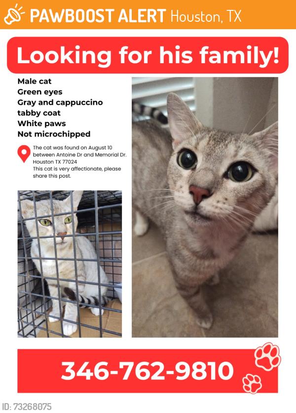 Found/Stray Male Cat last seen Antoine Dr and Memorial Dr, Houston, TX 77024