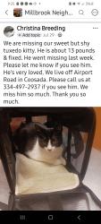 Lost Male Cat last seen Sycamore, Millbrook, AL 36020