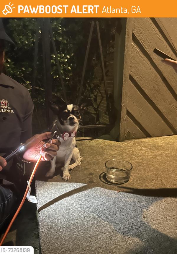 Found/Stray Unknown Dog last seen Briarcrest cndmniums, Atlanta, GA 30306